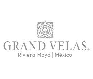 Inicio gvrm