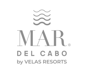 Inicio mar del cabo