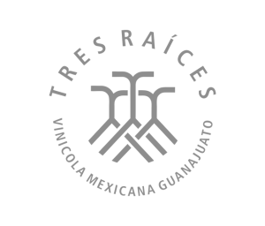 Inicio tres raices